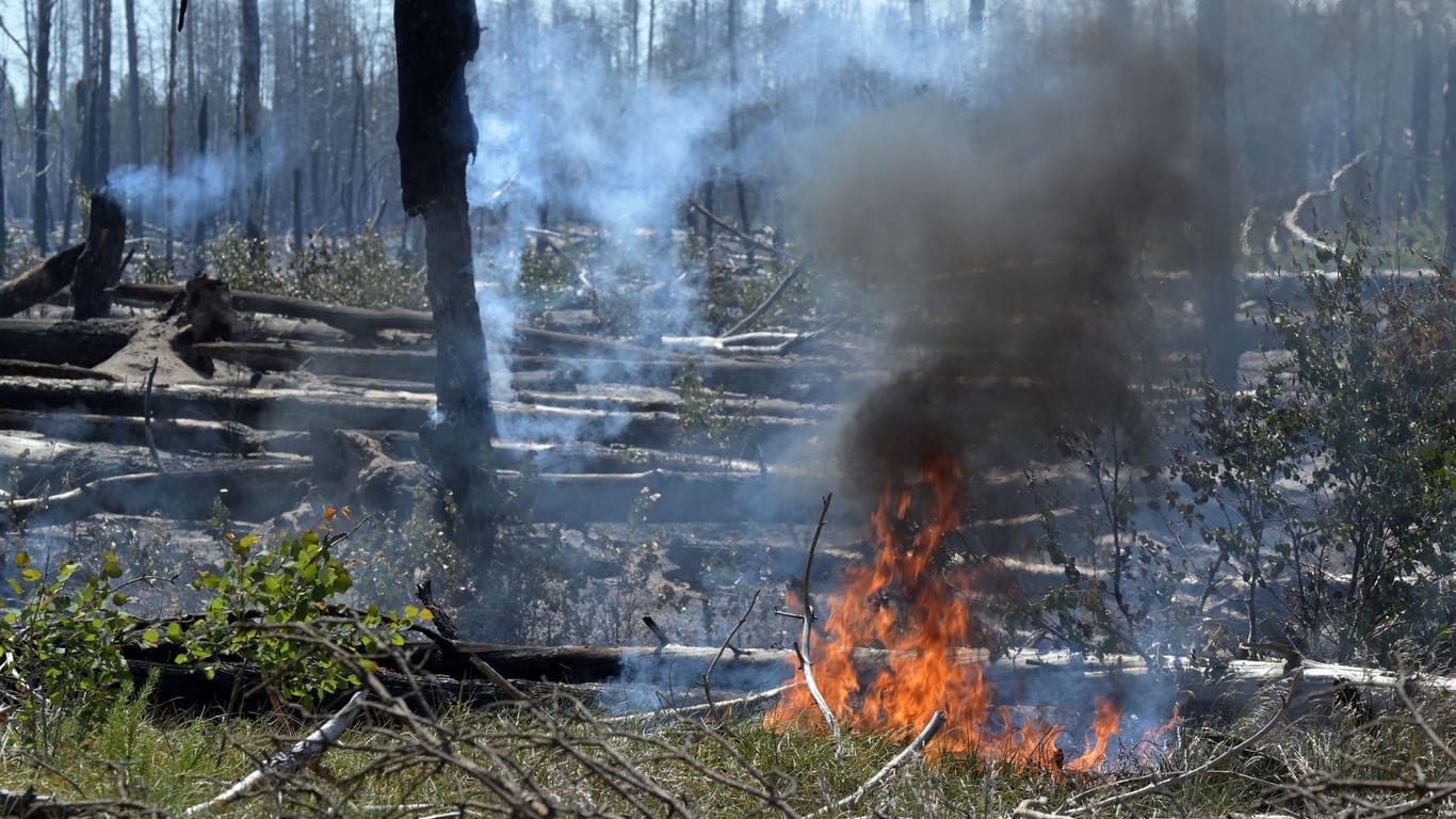 Brennender Wald bei Jüterbog: Der Waldbrand in dem ehemaligen Truppenübungsgebiet dort ist immer noch nicht gelöscht.