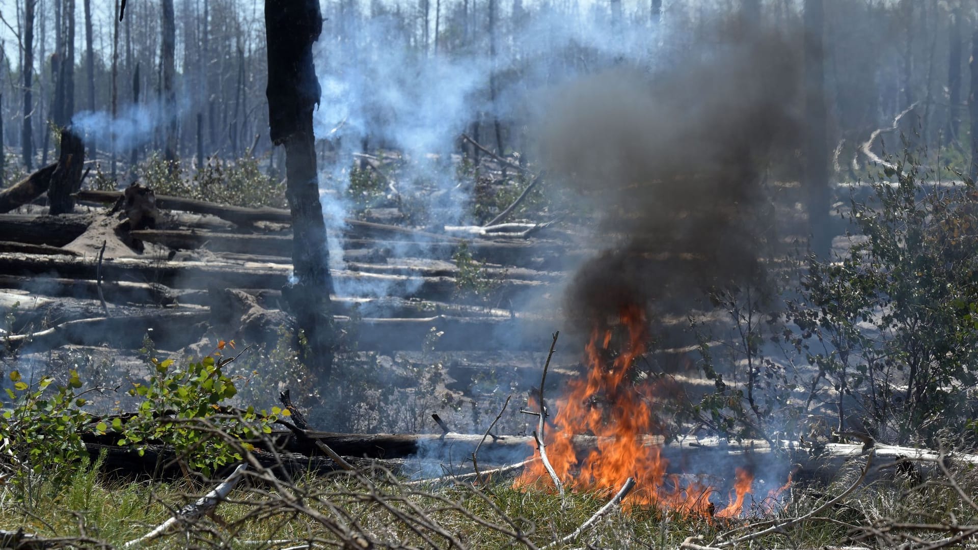 Brennender Wald bei Jüterbog: Der Waldbrand in dem ehemaligen Truppenübungsgebiet dort ist immer noch nicht gelöscht.