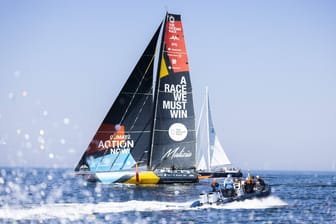 Das Ocean Race befindet sich auf der Schlussetappe: Die Teams Jajo und Mirpuri Trifork Racing wurden von Orcas angegriffen.