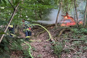 Feuer mitten im Wald: Den Einsatzkräften gelang es, auf schmalen Trampelpfaden mit einem Schlauch zur Brandstelle zu kommen.
