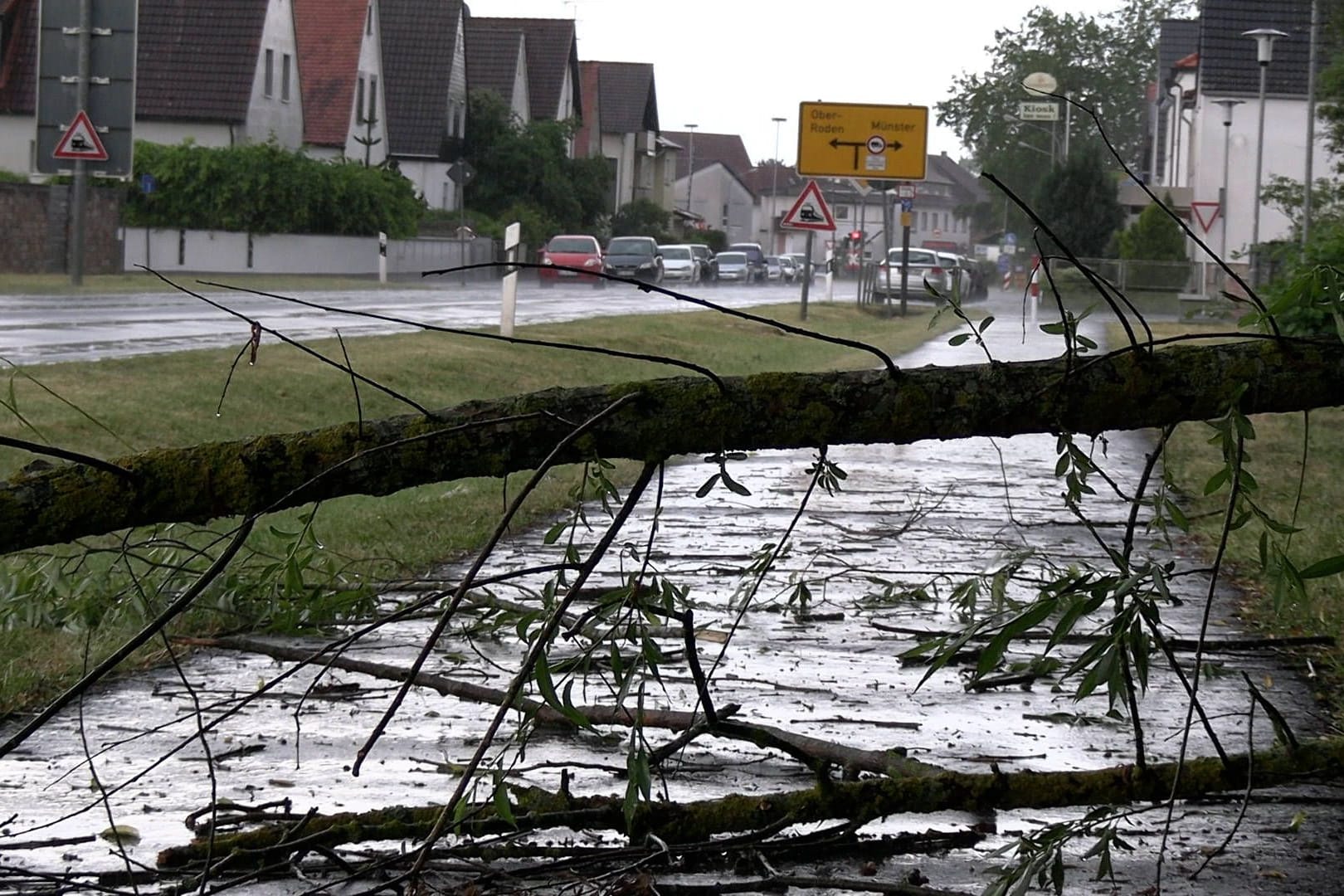 Folgen eines Sturms in Bayern (Archivfoto): Über Mittelfranken sind am Abend starke Schauer gezogen.