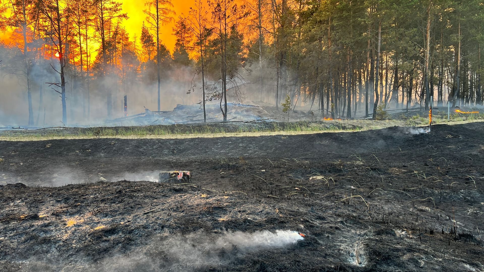 Waldbrand bei Lübtheen