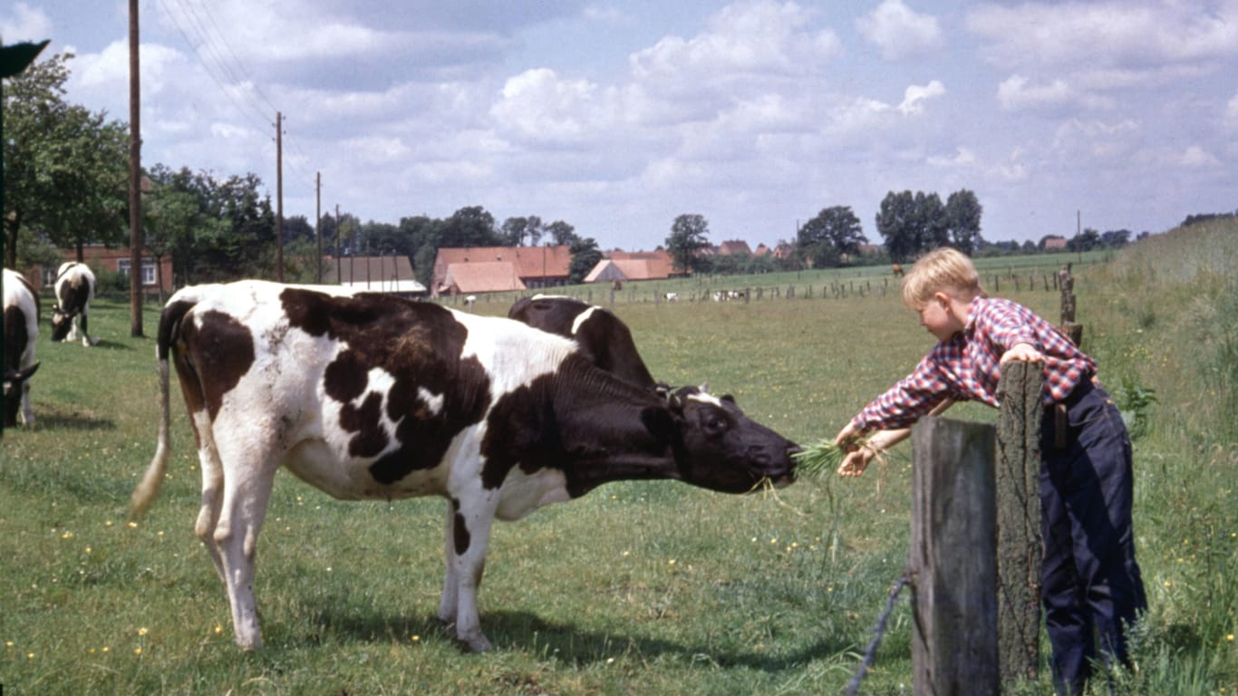 Kind auf einem Bauernhof in den Fünfzigerjahren (Archivbild): Der Historiker Ewald Frie beschreibt den Abschied von der bäuerlichen Welt.