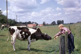 Kind auf einem Bauernhof in den Fünfzigerjahren (Archivbild): Der Historiker Ewald Frie beschreibt den Abschied von der bäuerlichen Welt.
