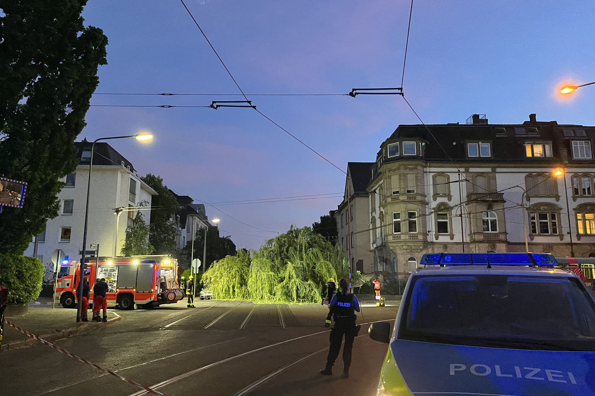 Der Baum stürzte in die Straßenbahn-Oberleitung.