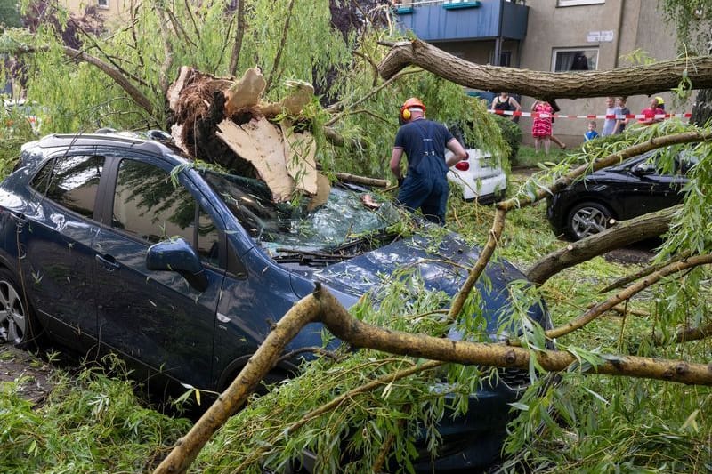 Feuerwehrleute räumen Äste eines umgestürzten Baumes von geparkten Autos in Frankfurt am Main.