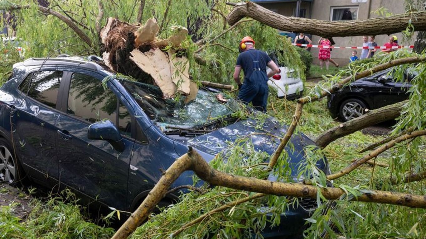 Feuerwehrleute räumen Äste eines umgestürzten Baumes von geparkten Autos in Frankfurt am Main.
