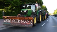 Wolf in Ostfriesland: Tausende protestieren gegen Wolfspolitik