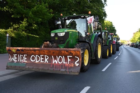 Wolf in Ostfriesland: Tausende..