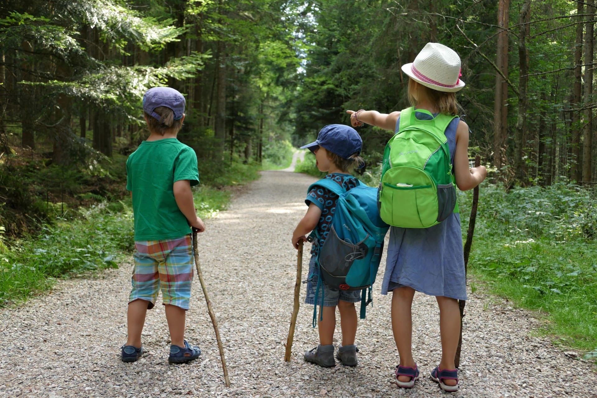 Der Natur auf der Spur: Der Ameisenpfad in Friedenweiler-Rötenbach können Kinder und Erwachsene viel über die Insekten lernen.