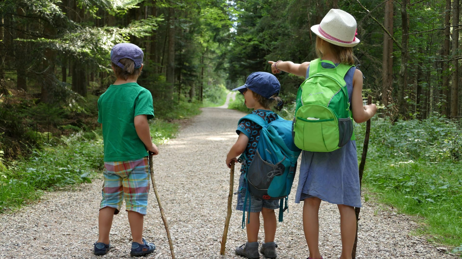 Der Natur auf der Spur: Der Ameisenpfad in Friedenweiler-Rötenbach können Kinder und Erwachsene viel über die Insekten lernen.