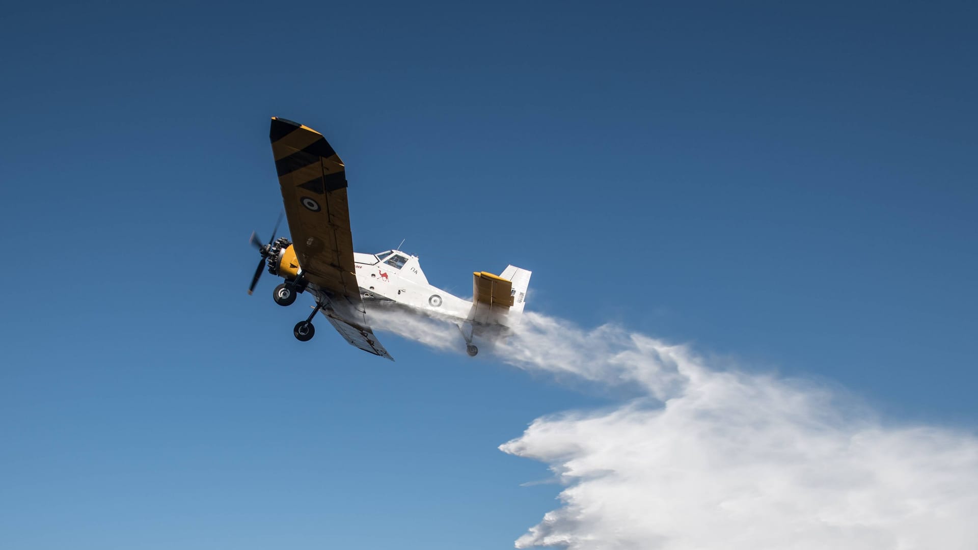 Ein polnisches Löschflugzeug vom Typ "PZL M18 Dromader" (Symbolbild): Der Landkreis Harz verfügt über einen solchen Flieger.