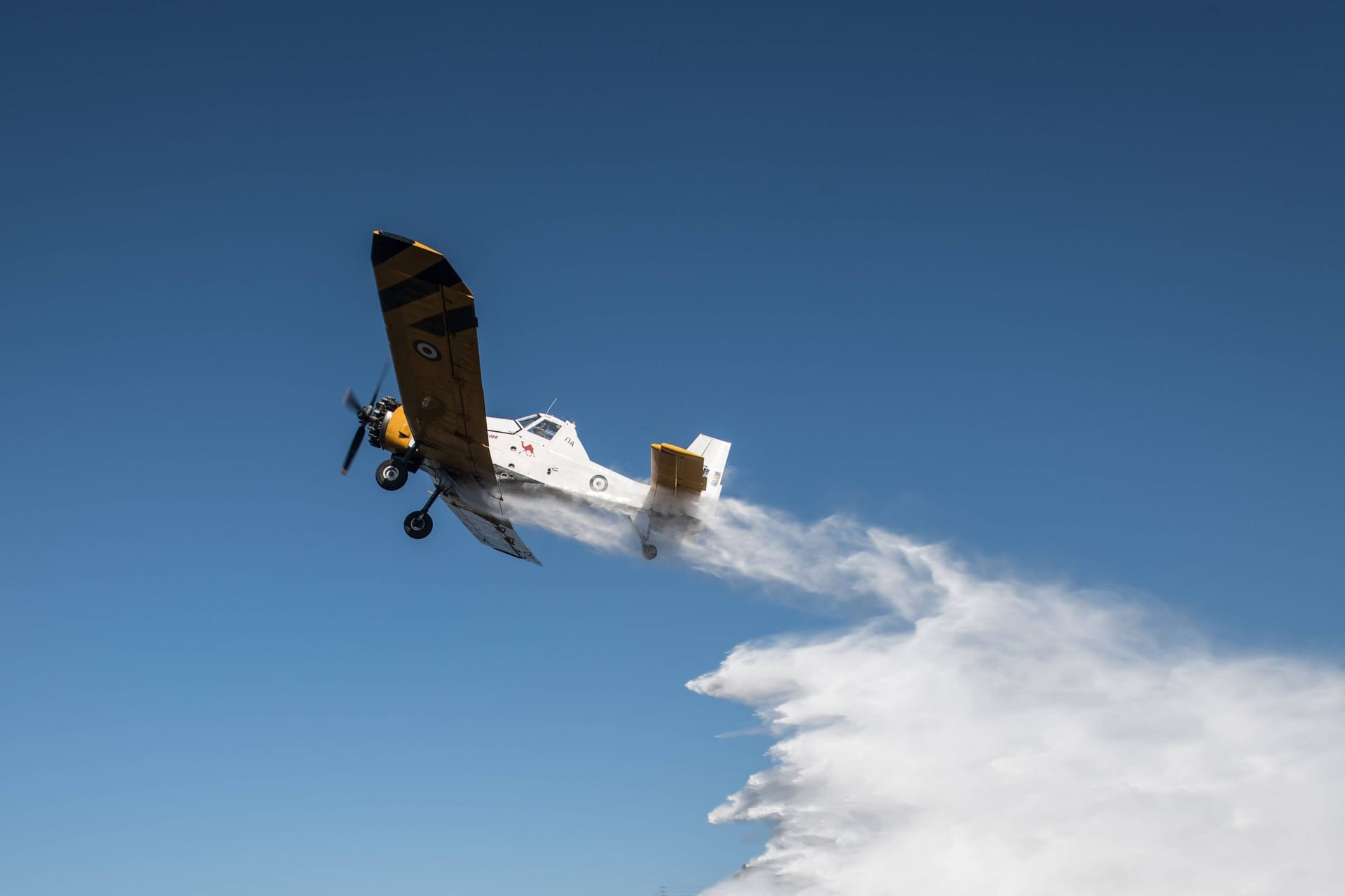 Ein polnisches Löschflugzeug vom Typ "PZL M18 Dromader" (Symbolbild): Der Landkreis Harz verfügt über einen solchen Flieger.