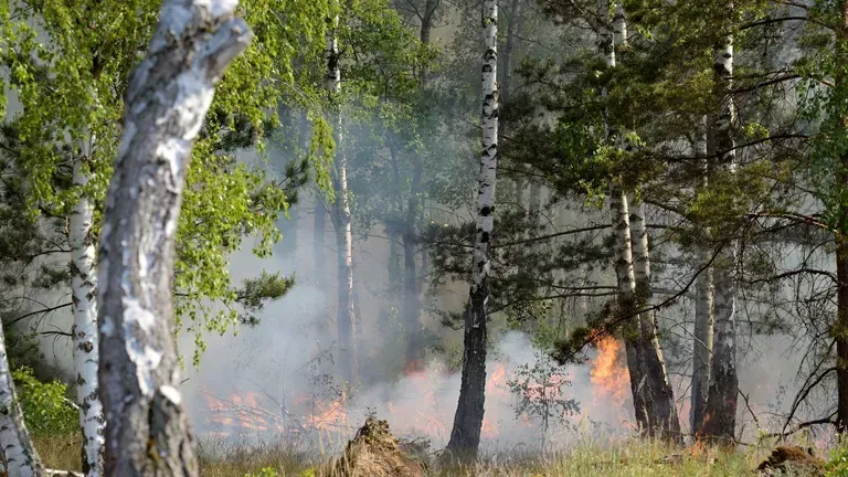 Der Waldbrand in dem ehemaligen Truppenübungsgebiet bei Jüterbog ist immer noch nicht gelöscht.