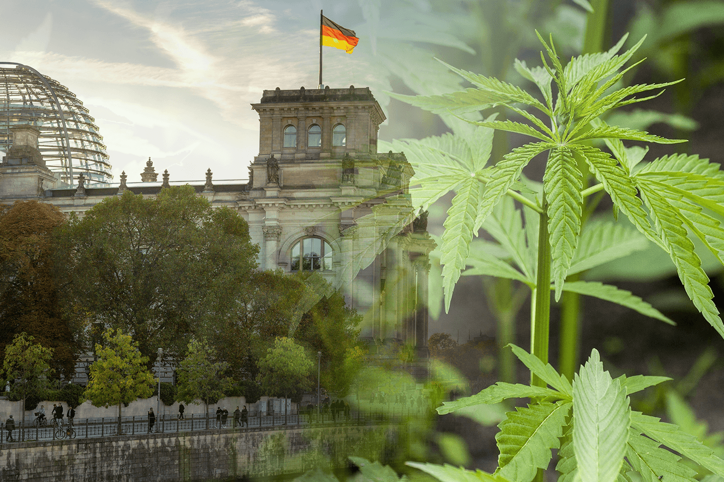 Im Bundestag wurde mehr Cannabis beschlagnahmt