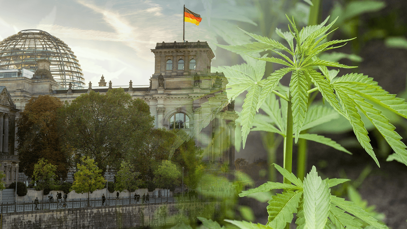 Im Bundestag wurde mehr Cannabis beschlagnahmt