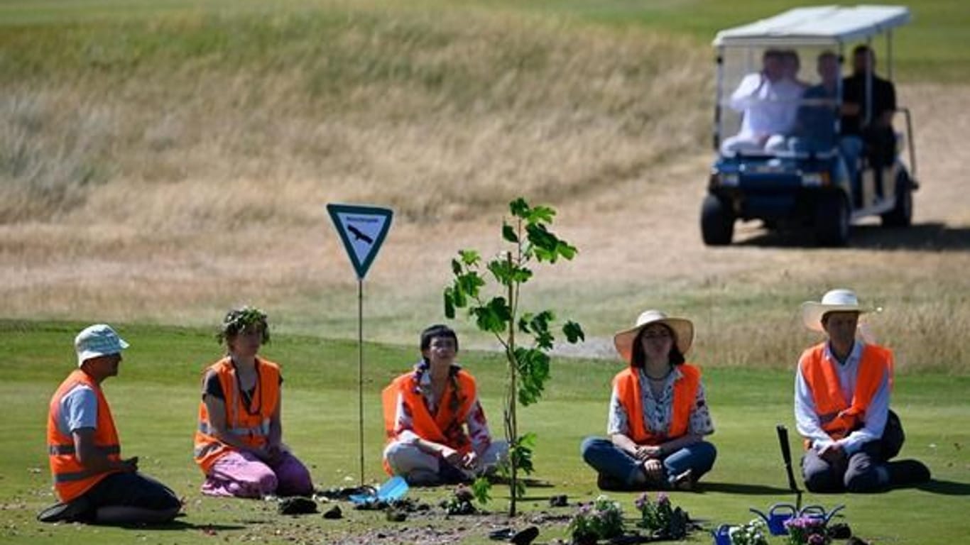 Golfplatz auf Sylt: Hier hatten Klimaaktivsten am vergangenen Mittwoch Setzlinge eingepflanzt.