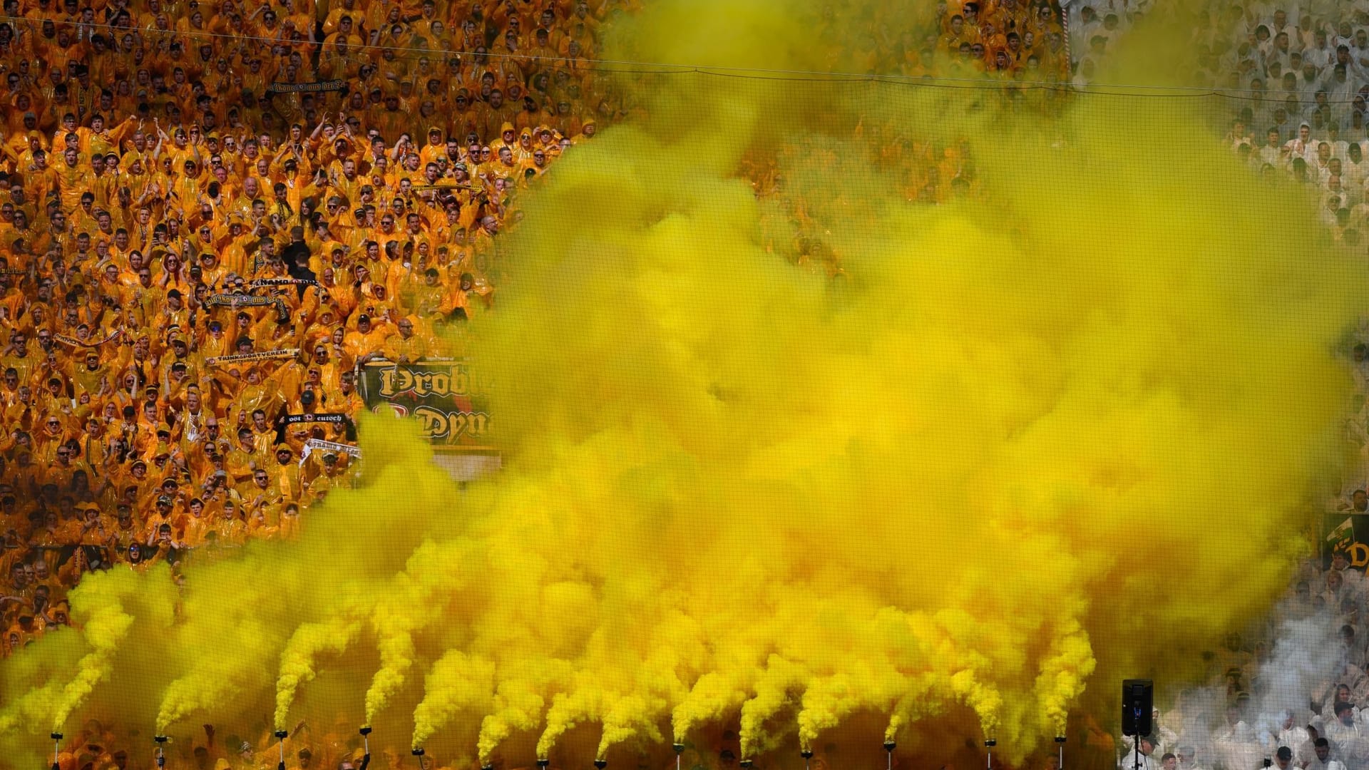 Fans von Dynamo Dresden