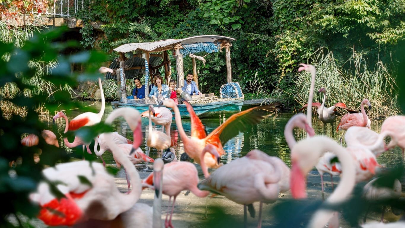 Eine Familie sichtet Flamingos während einer Bootsfahrt.