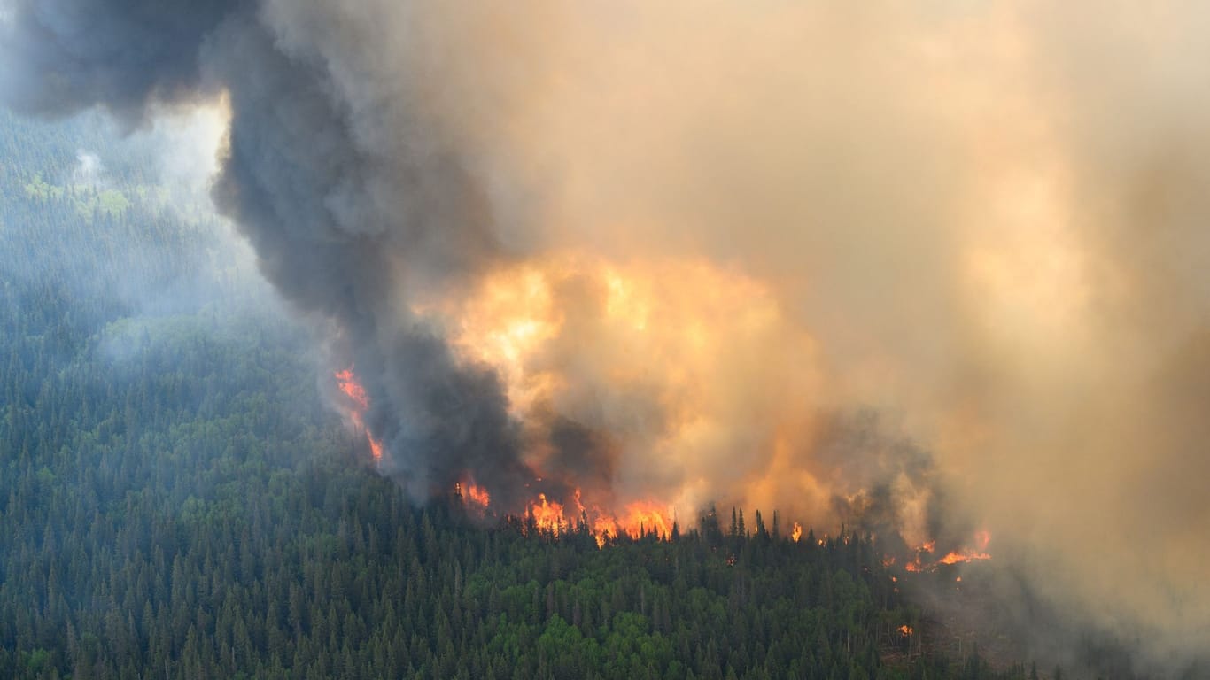 Flammen fressen Bäume in Kanada: Der Rauch steigt hoch empor, treibt über den Atlantik und ist jetzt auch in Europa wahrnehmbar.