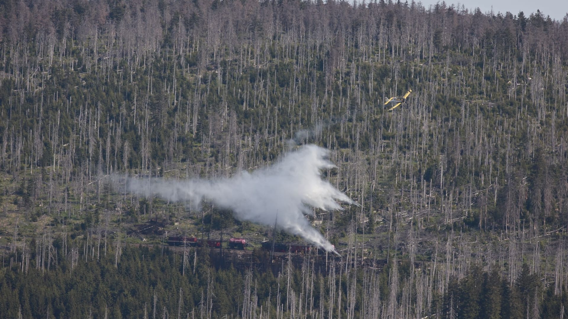 Waldbrand am Brocken