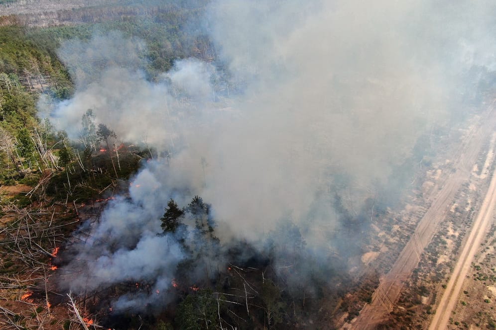 Flammen schlagen in einem Waldstück nahe Jüterbog in die Höhe: Auffrischender Wind hat den Waldbrand in einem mit Munition belasteten Waldgebiet südlich von Berlin angefacht.