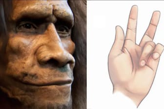 Illustration eines Neandertalers und einer Hand: Von Morbus Dupuytren sind meist der Ringfinger und der kleine Finger betroffen.