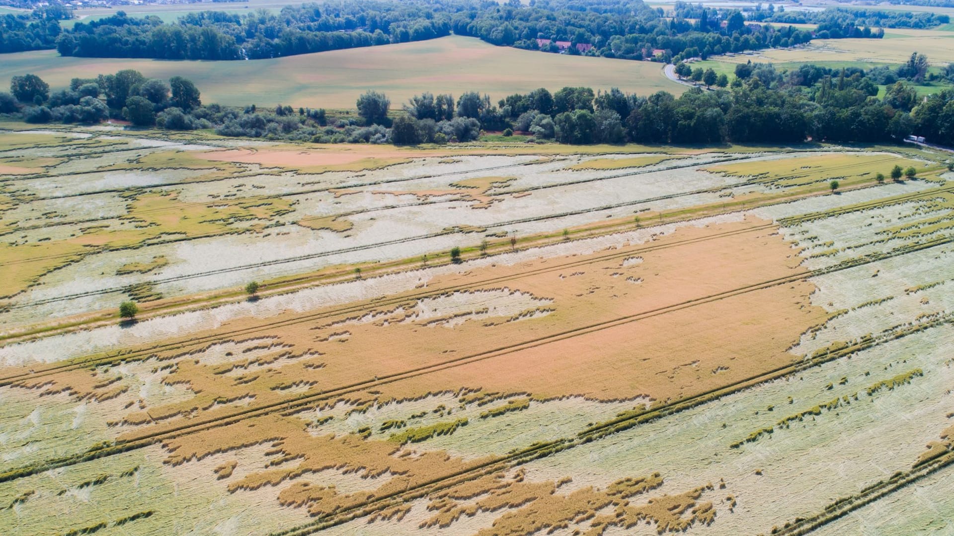 Unwetterschäden in der Landwirtschaft