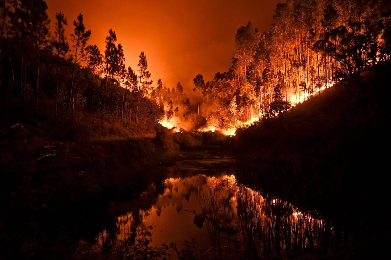 Ein Waldbrand in Portugal: Weltweit steigt die Zahl der Brände. In Deutschland ist 2023 bereits mehr Fläche verbrannt als sonst in einem ganzen Jahr.