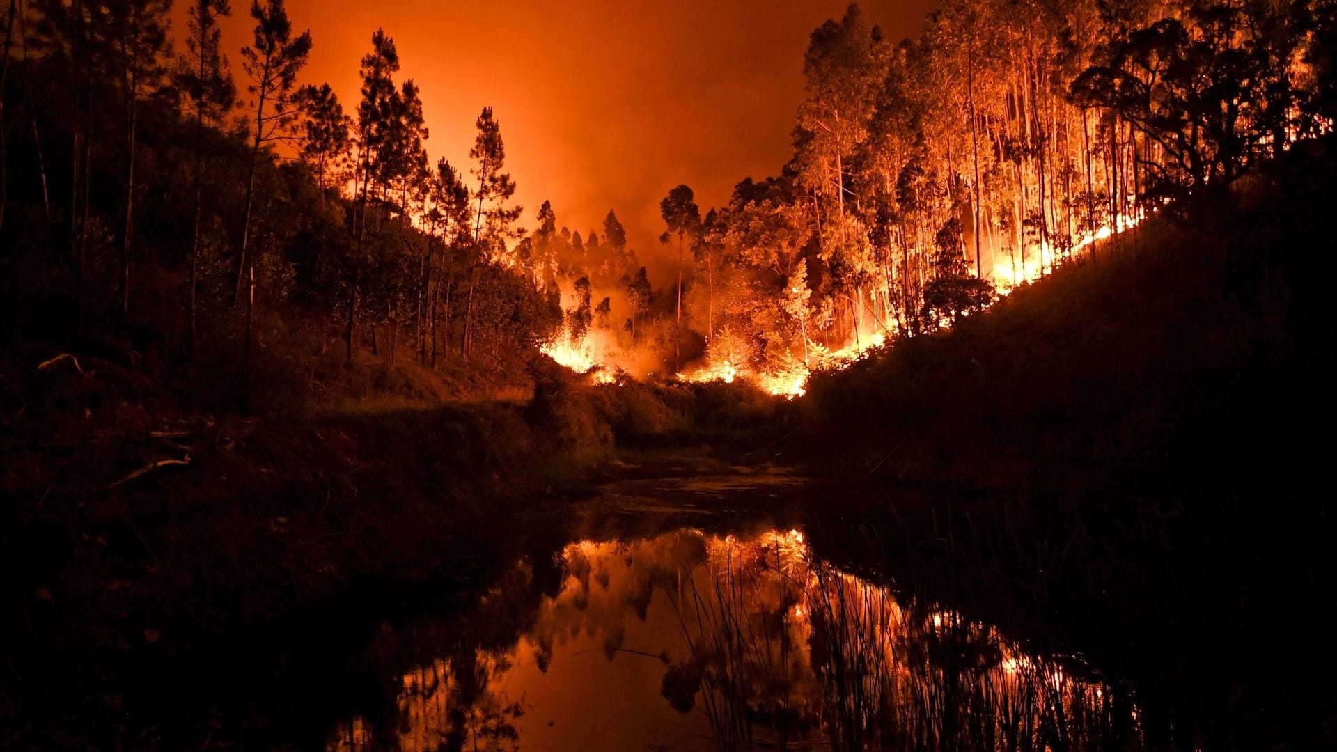 Ein Waldbrand in Portugal: Weltweit steigt die Zahl der Brände. In Deutschland ist 2023 bereits mehr Fläche verbrannt als sonst in einem ganzen Jahr.