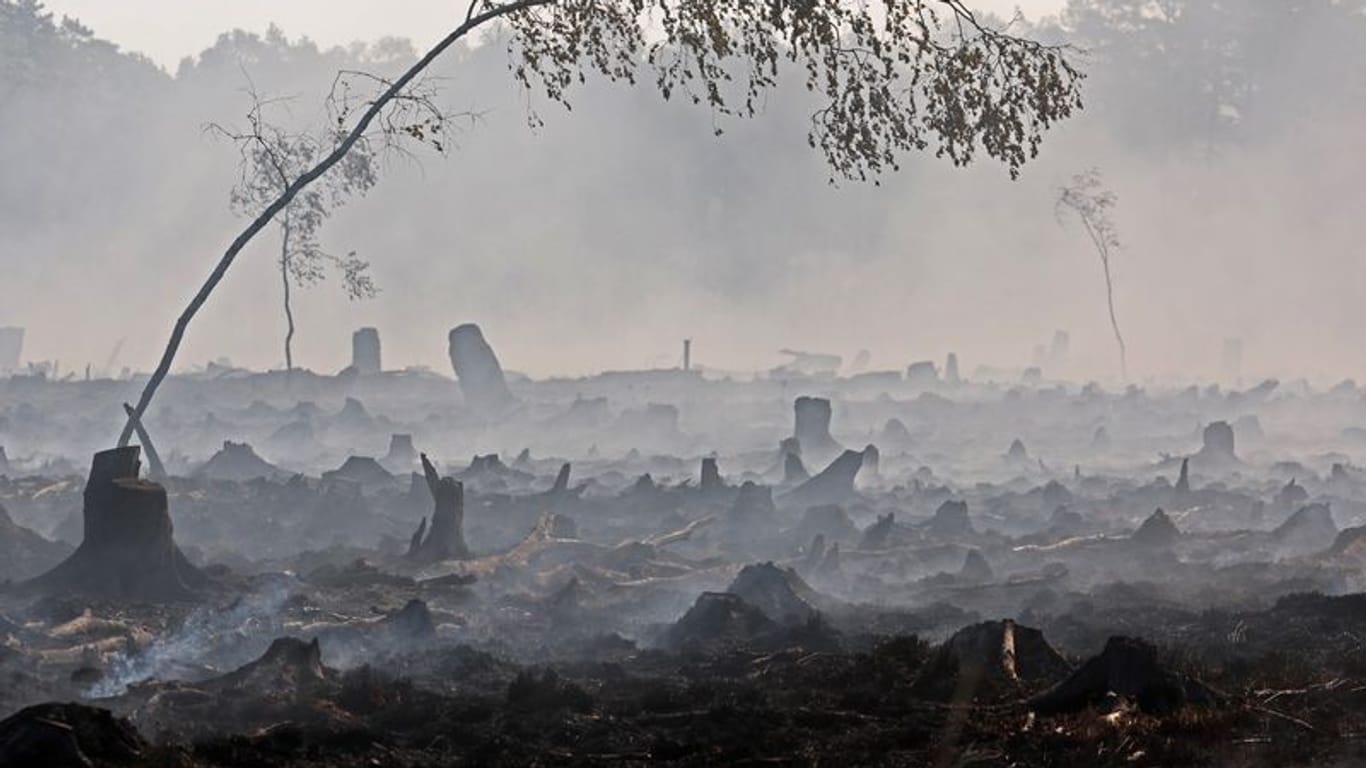 Abgebranntes Torfmoorgebiet in Göldenitz: Glutnester flammen immer wieder auf.