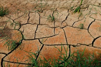 Ein Ackerboden mit Trockenrissen im Isental (Archivbild): Die Böden in Bayern leiden auch dieses Jahr wieder unter massiver Dürre.