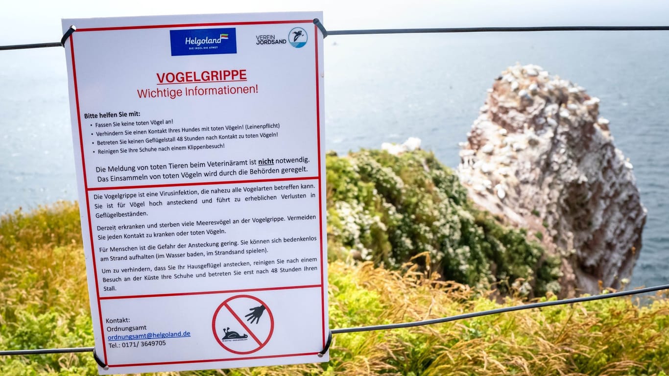 Helgoland: Ein Schild informiert über die Vogelgrippe auf der Hochseeinsel Helgoland.
