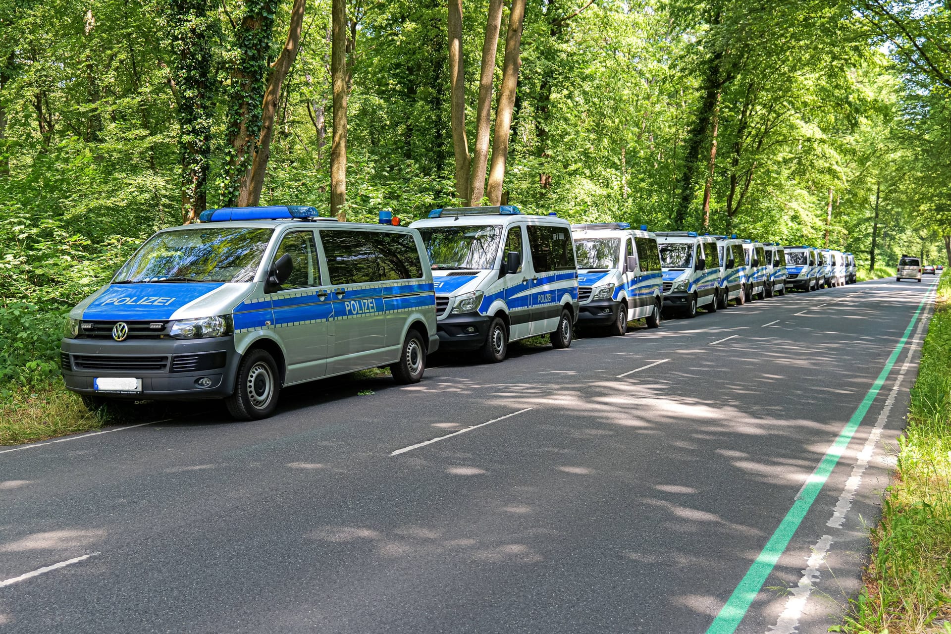 Polizeiwagen stehen an der Eilenriede in Hannover: Hier suchten die Einsatzkräfte nach der Vermissten.