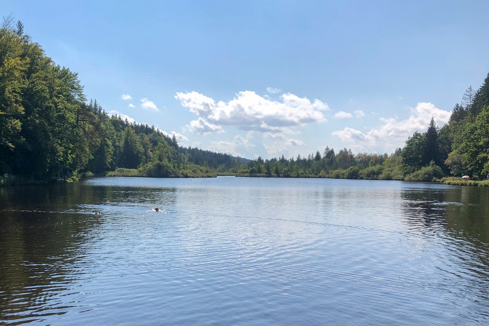 Der Deininger Weiher in Strasslach-Dingharting (Archivbild): Ein Mann starb hier vermutlich bei einem Badeunfall.