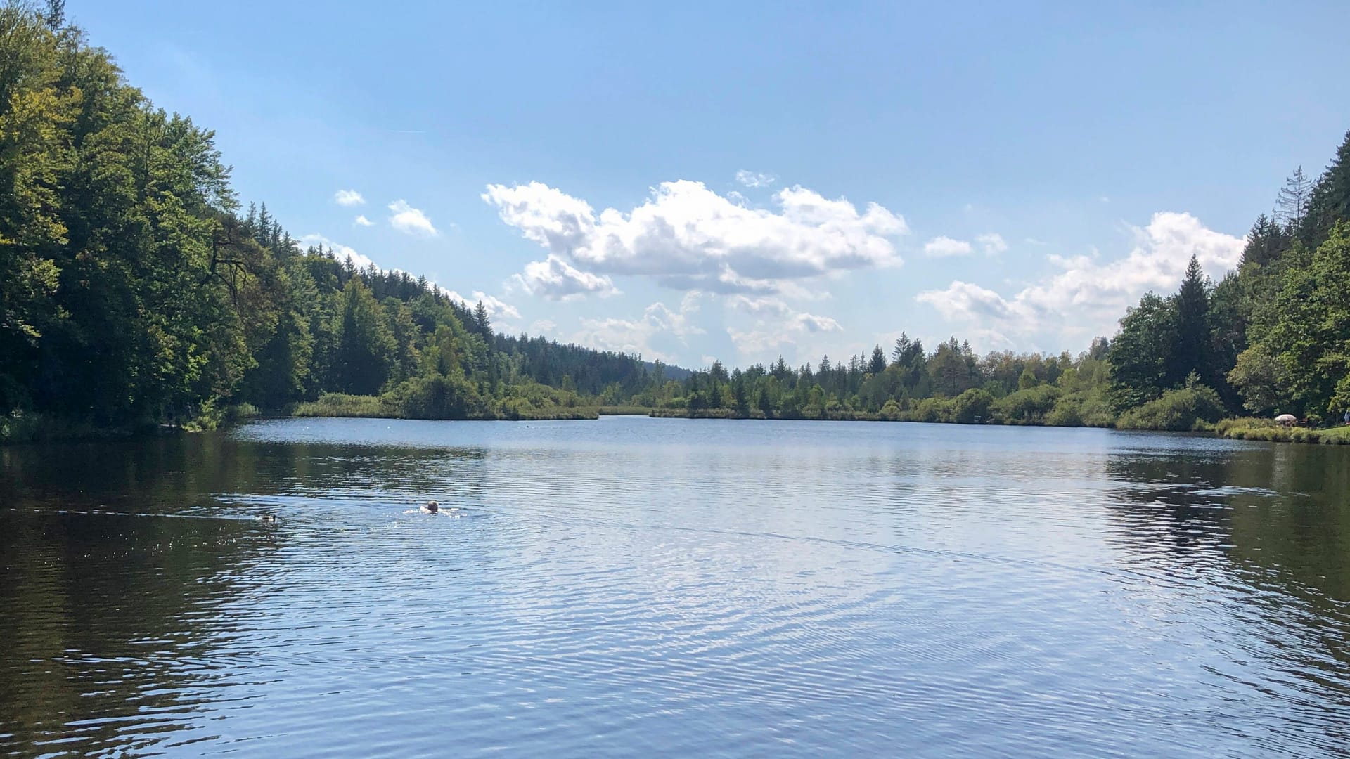 Der Deininger Weiher in Strasslach-Dingharting (Archivbild): Ein Mann starb hier vermutlich bei einem Badeunfall.