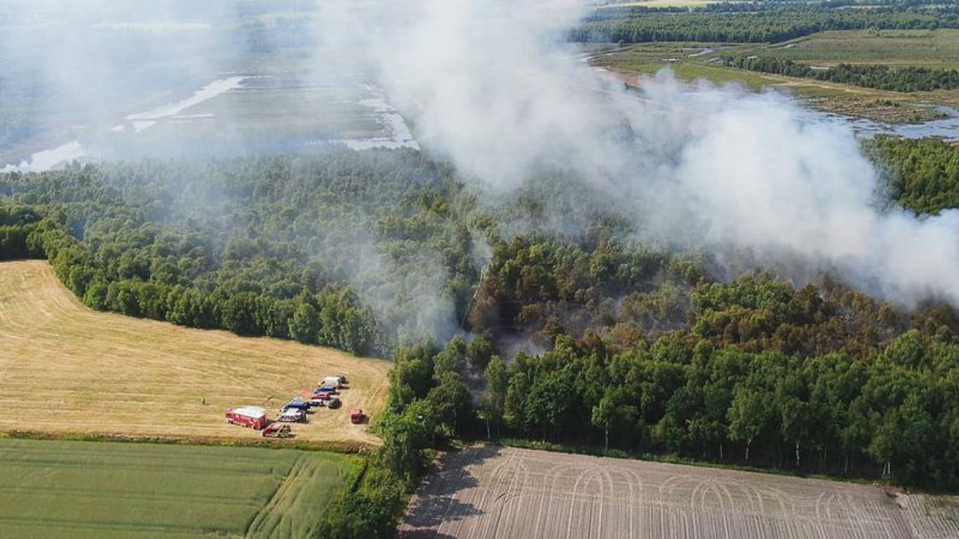 Waldbrand in Molberg: Einsatzkräfte der Feuerwehr bekämpfen mit einem Großaufgebot einen Moorbrand.