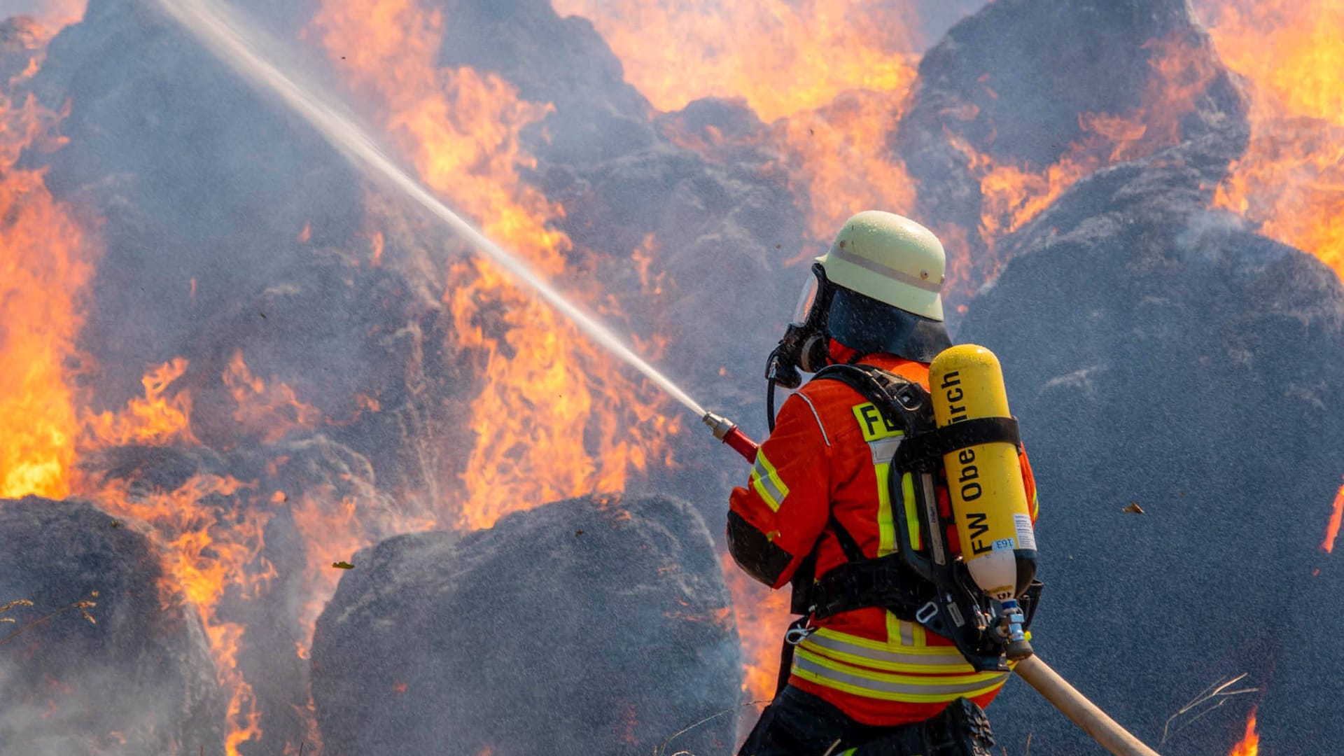 Ein brasilianischer Feuerwehrmann inmitten eines Waldbrandes: Weltweit sorgt Extremwetter für Einsätze. Ein brasilianischer Feuerwehrmann inmitten eines Waldbrandes: Weltweit sorgt Extremwetter für Einsätze.