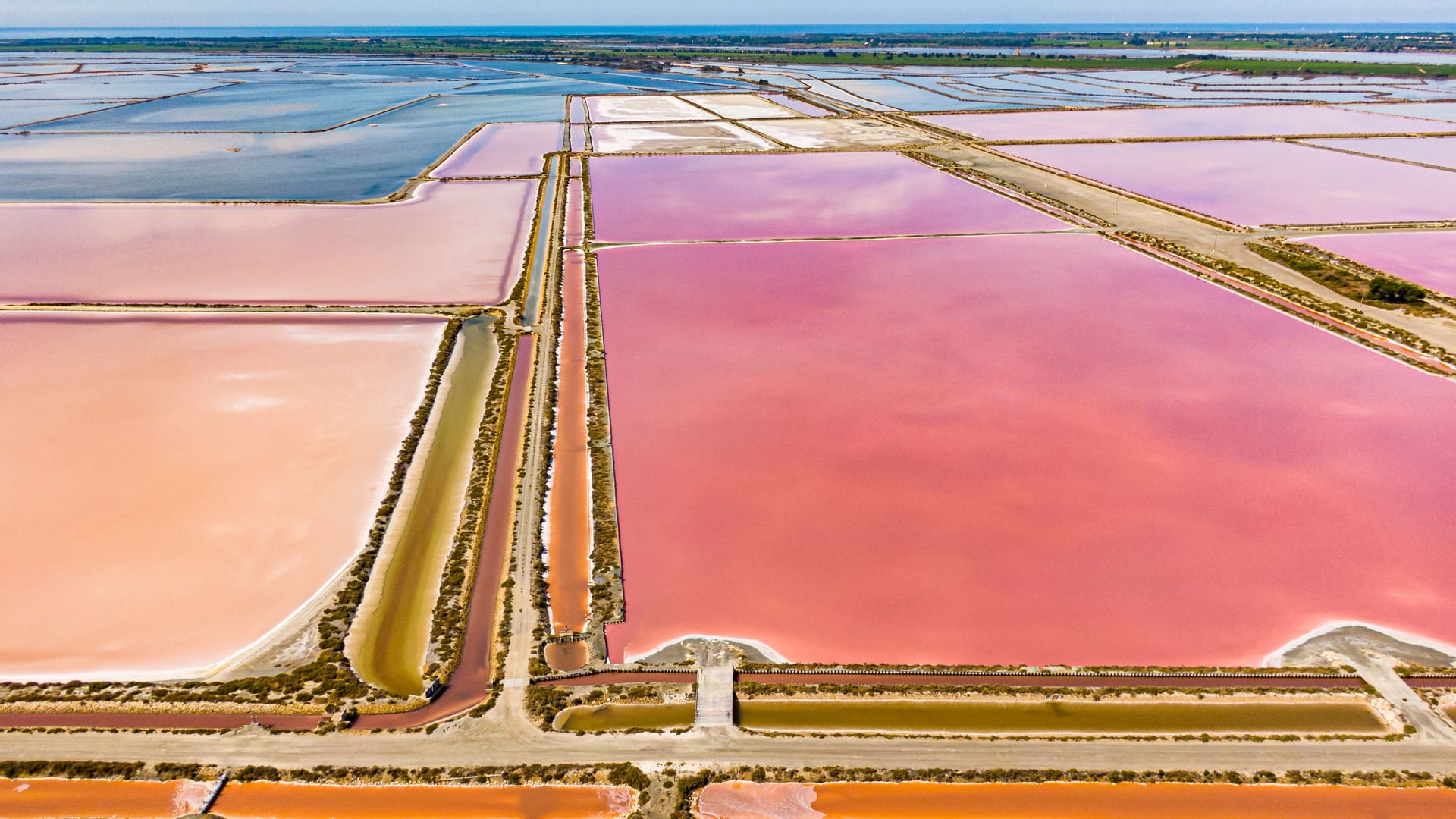 Salzwiesen der Camargue: Die Landschaft bietet ein buntes Schauspiel.