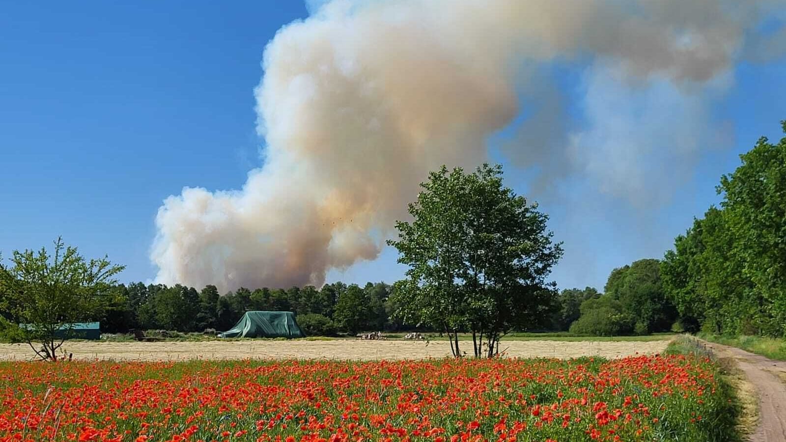 Feuer in Brandenburg: Die Brände dehnen sich aus.