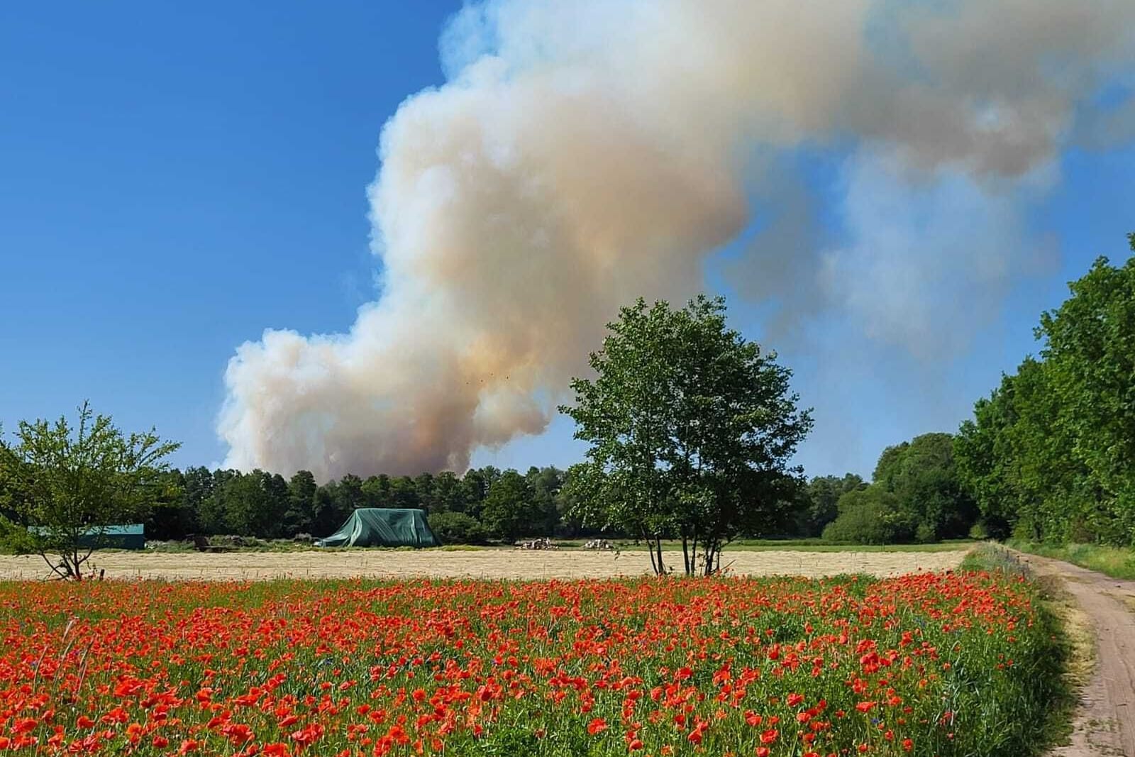 Feuer in Brandenburg: Die Brände dehnen sich aus.