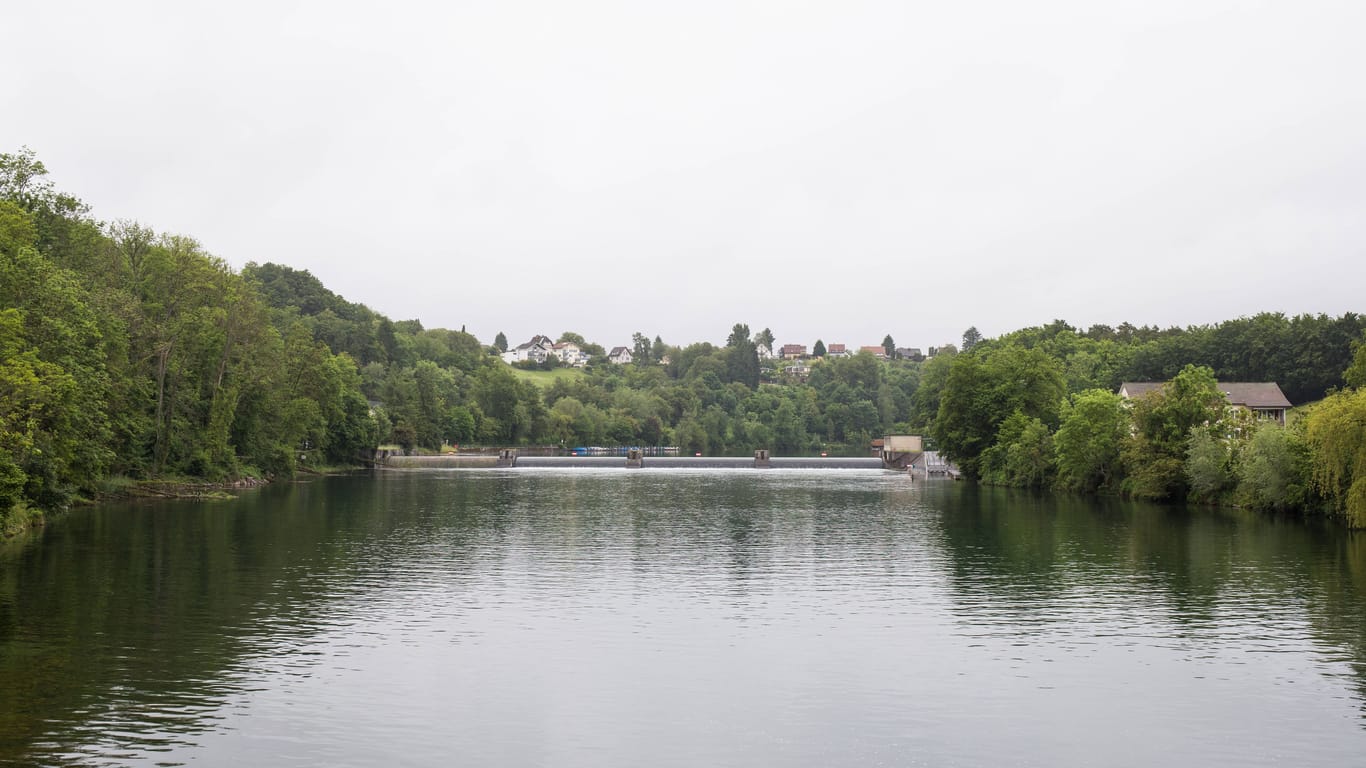Der Rhein zwischen Rheinau in der Schweiz und Jestetten (Archivbild): Am Ufer wurde eine Leiche gefunden.
