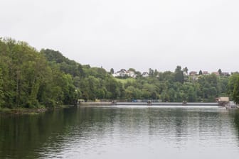 Der Rhein zwischen Rheinau in der Schweiz und Jestetten (Archivbild): Am Ufer wurde eine Leiche gefunden.