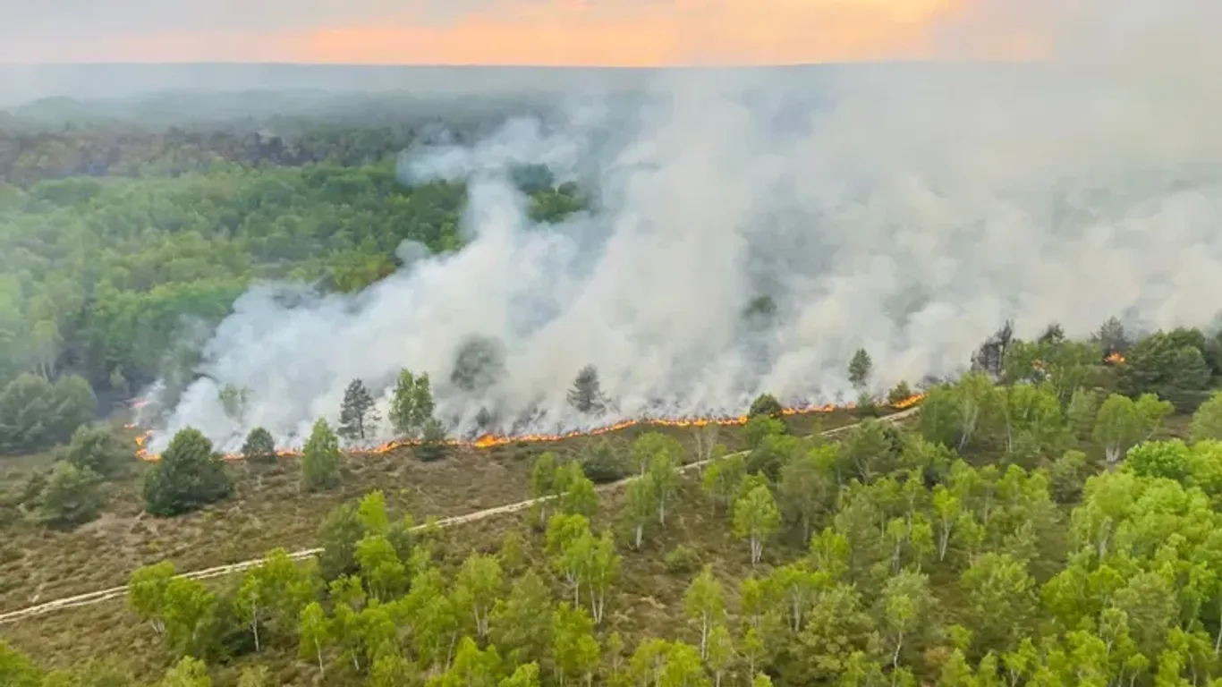 Waldbrand in Jüterbog: Das Feuer hat bisher mehr als 700 Hektar Fläche vernichtet.