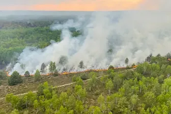 Waldbrand in Jüterbog: Das Feuer hat bisher mehr als 700 Hektar Fläche vernichtet.