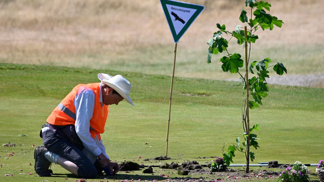 Ein Aktivist der "Letzten Generation": Unter anderem ein Bäumchen wurde auf dem Golfplatz gepflanzt.