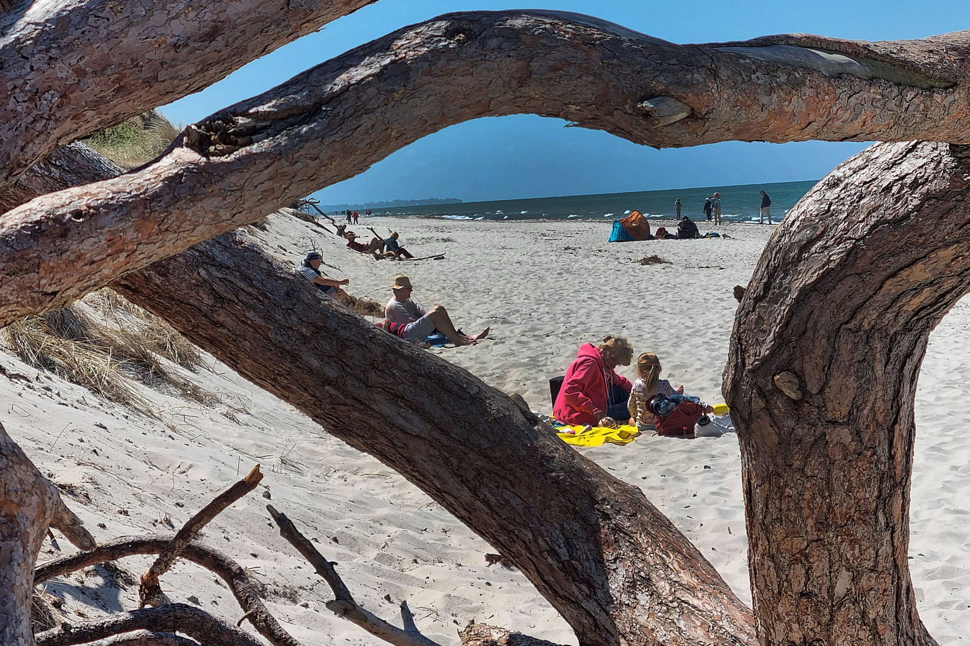 Darßer Weststrand: Mit dem Deutschlandticket ist auch die Halbinsel gut zu erreichen.