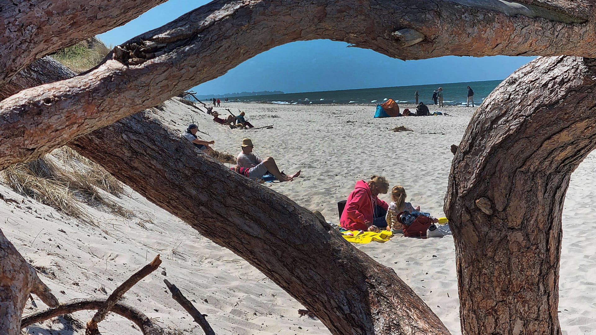 Darßer Weststrand: Mit dem Deutschlandticket ist auch die Halbinsel gut zu erreichen.