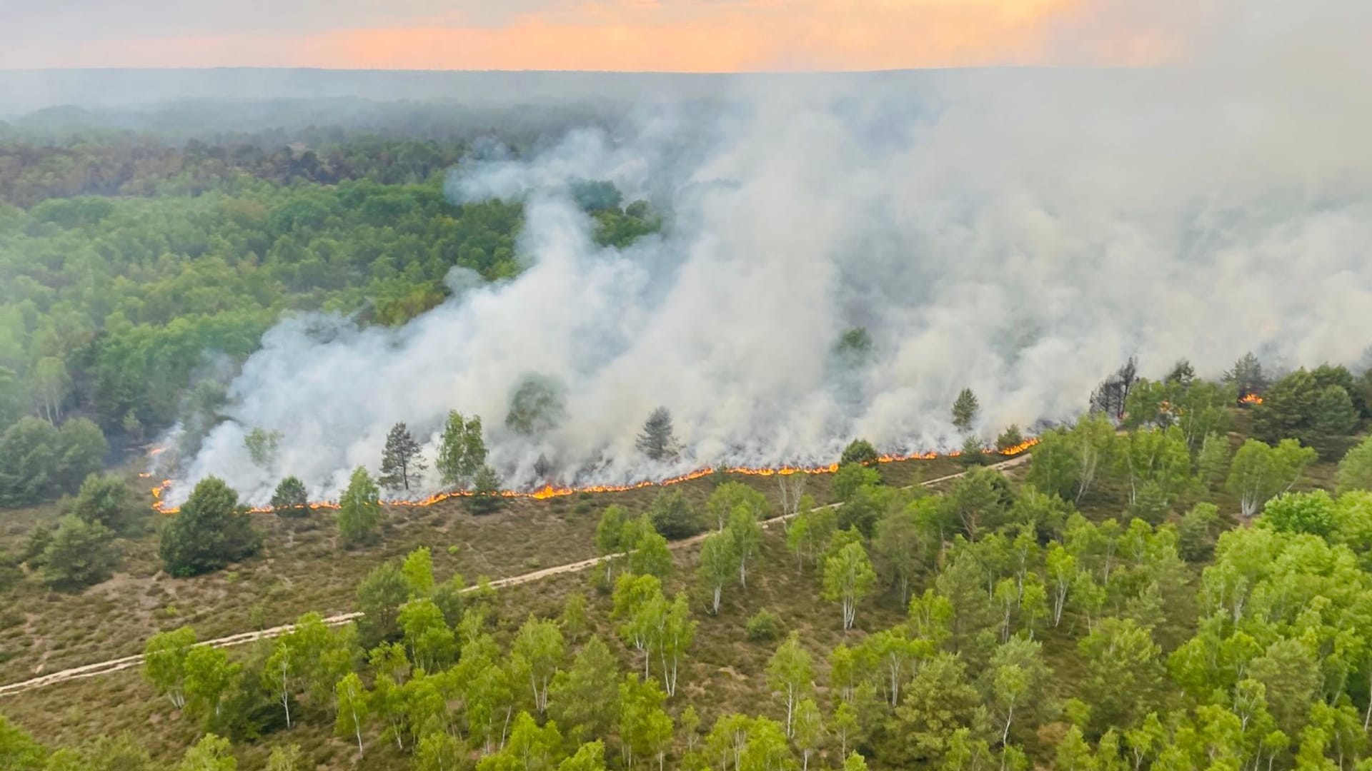 Waldbrand bei Jüterbog