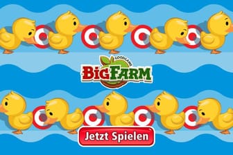 Big Farm (Quelle: Goodgame Studios)